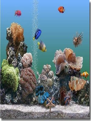 cover image of Guide to Your Own Aquarium